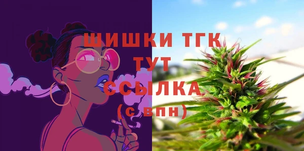 прущие грибы Арсеньев