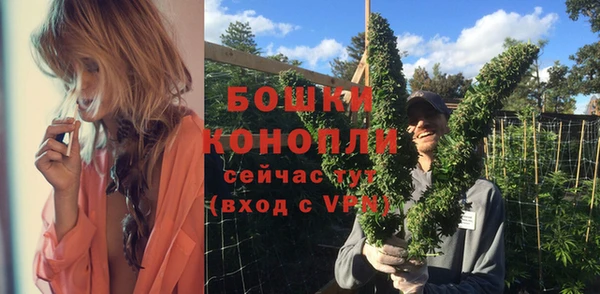 прущие грибы Арсеньев