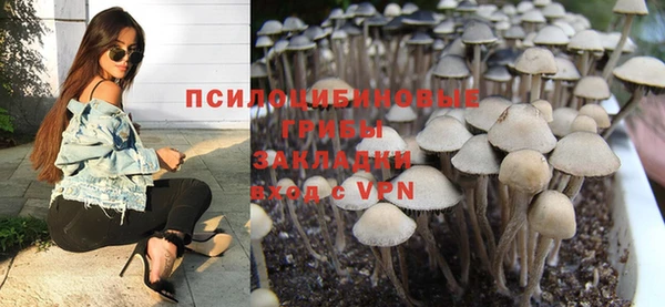 метадон Армянск