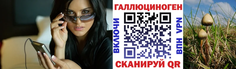 Галлюциногенные грибы Psilocybe  Баймак 